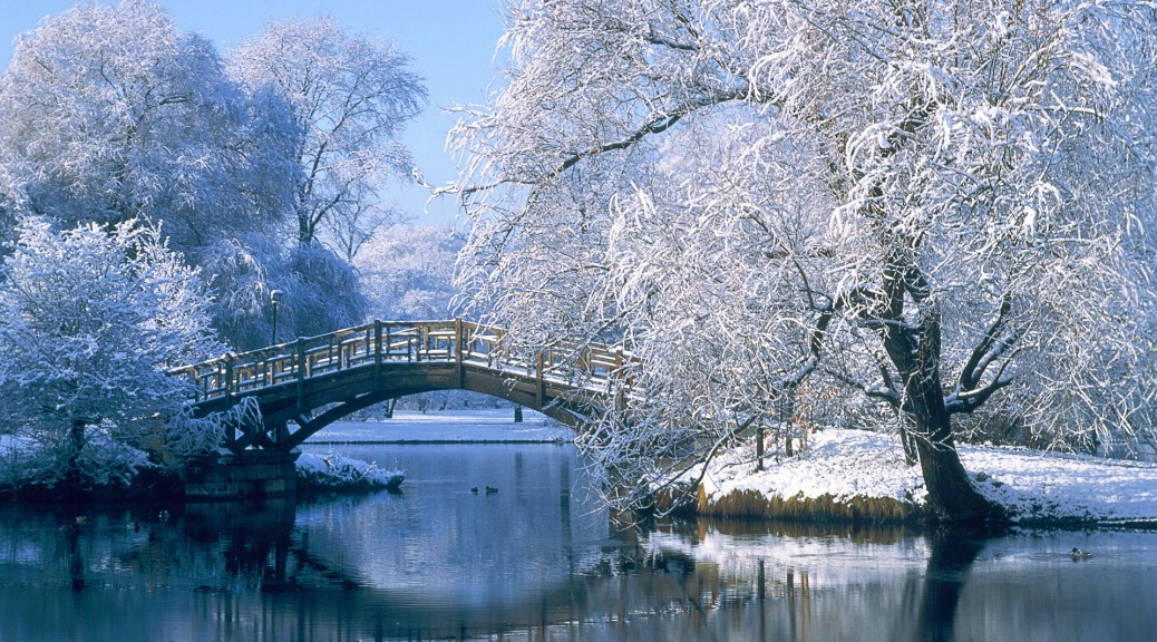 beautiful-scenery-of-winter-season.jpg