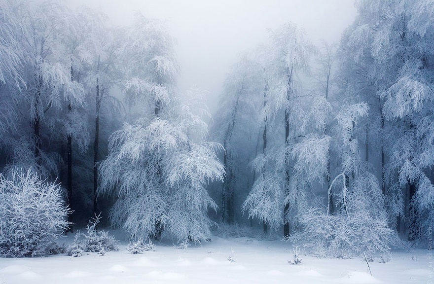 Hình Phong Cảnh Mùa Đông Winter-landscapes-20
